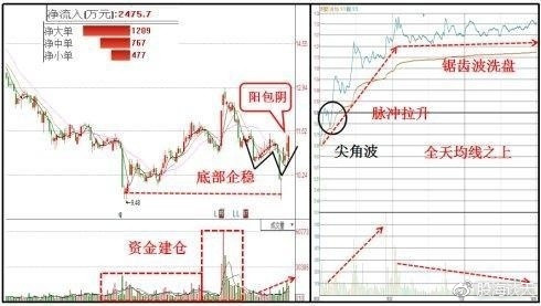 002506行情走势深度分析与论述