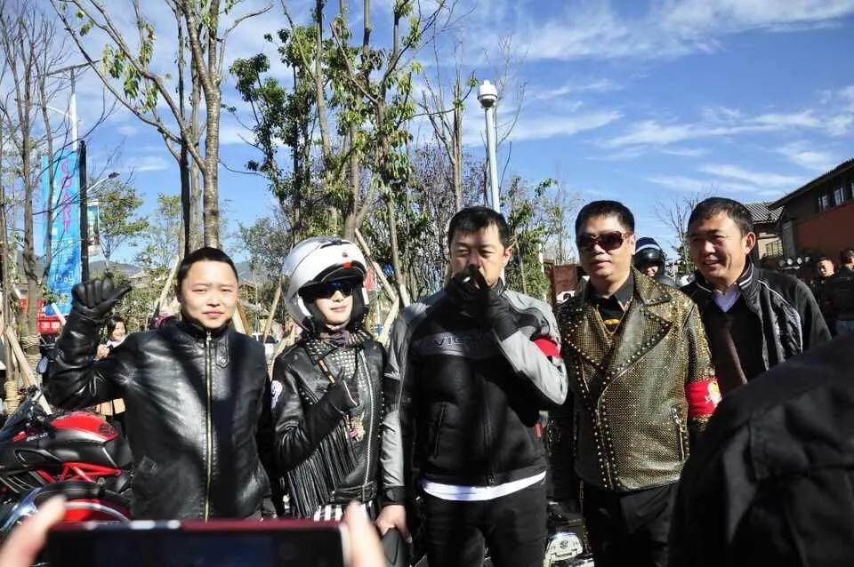 杨坤最新动态与信息获取指南，初学者与进阶用户必读文章