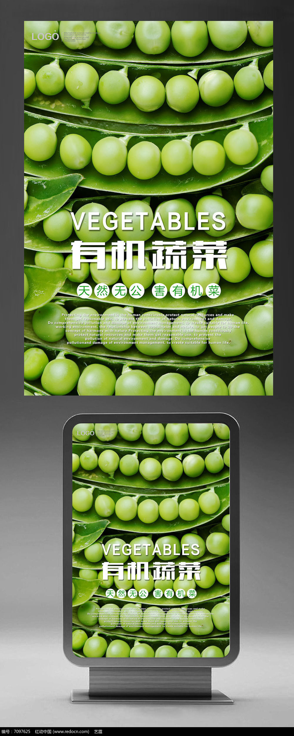 扁豆最新报价，市场走势分析与选购指南
