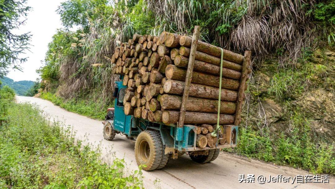 梅子镇，自然美景的探索之旅，寻找内心的平和与喜悦
